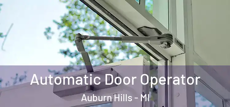  Automatic Door Operator Auburn Hills - MI