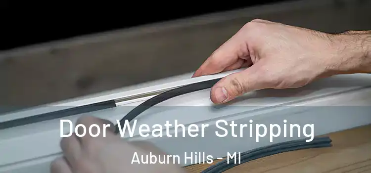  Door Weather Stripping Auburn Hills - MI