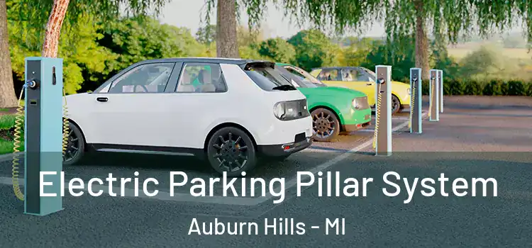  Electric Parking Pillar System Auburn Hills - MI