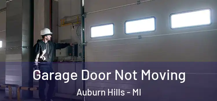  Garage Door Not Moving Auburn Hills - MI