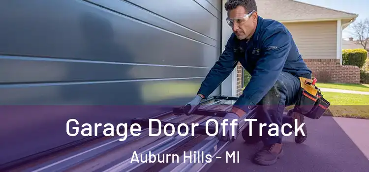  Garage Door Off Track Auburn Hills - MI