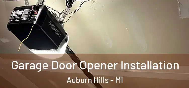  Garage Door Opener Installation Auburn Hills - MI
