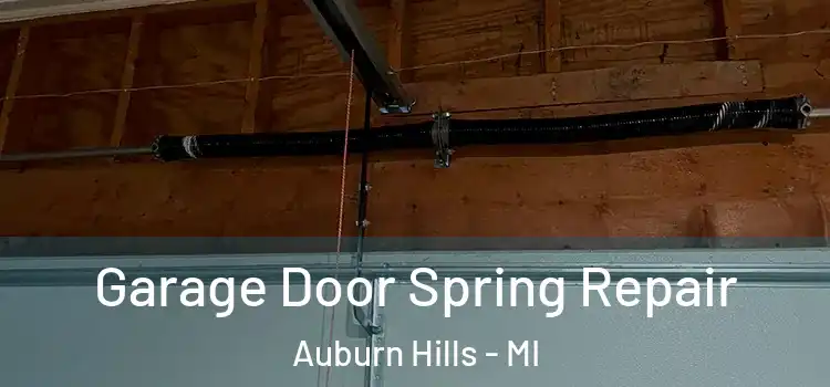  Garage Door Spring Repair Auburn Hills - MI