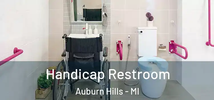  Handicap Restroom Auburn Hills - MI