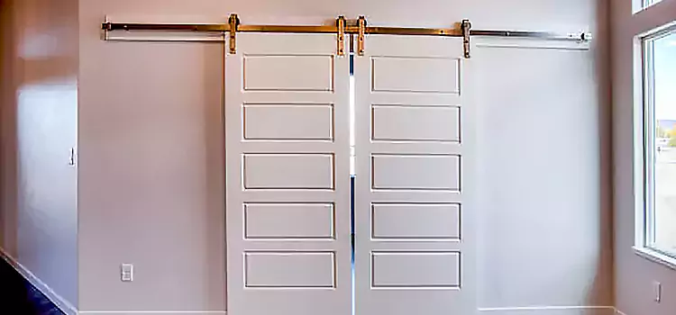 Glass Barn Door with Installation Hardware Kit Auburn Hills