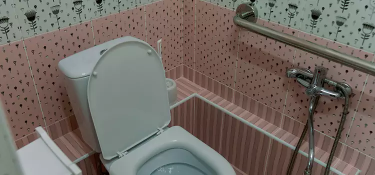 Meeting Diverse Needs With Accessible Restroom Solutions in Auburn Hills, MI