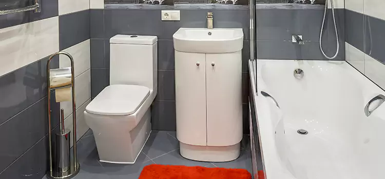 Hansgrohe Shaving Mirror Auburn Hills