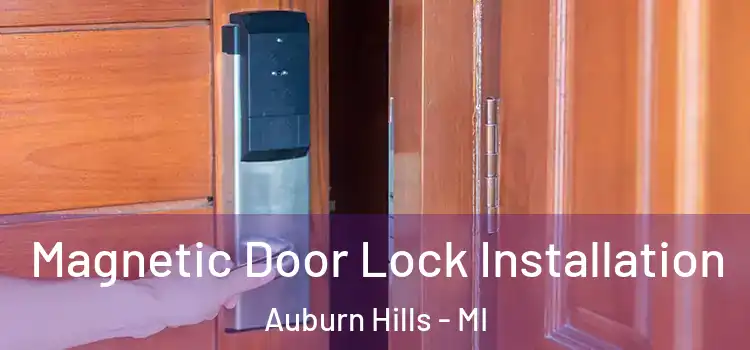  Magnetic Door Lock Installation Auburn Hills - MI