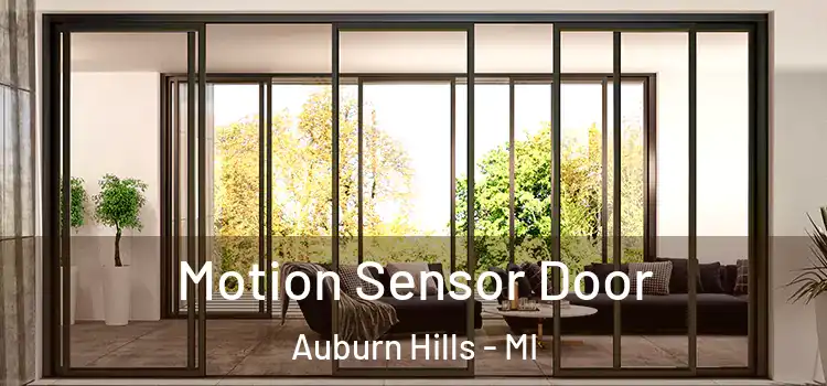 Motion Sensor Door Auburn Hills - MI