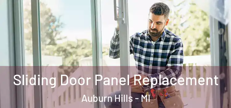 Sliding Door Panel Replacement Auburn Hills - MI