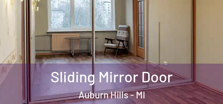  Sliding Mirror Door Auburn Hills - MI