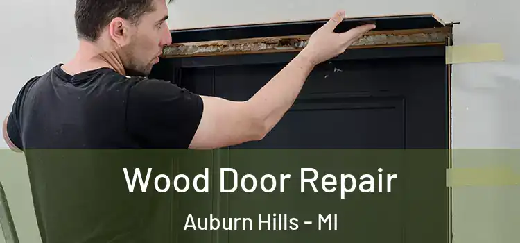 Wood Door Repair Auburn Hills - MI